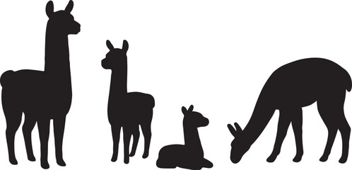 Obraz premium Llama silhouette icon set standing, sitting, grazing animal symbol vector illustration