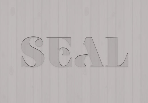Light Gray Hollow Serif Embossed Text Effect