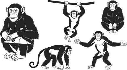 Chimpanzee silhouette set, playful monkey poses collection, wildlife animal vector illustration, primate character designs isolated on white background © MstMonowara
