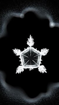 A highly detailed, symmetrical pentagonal snowflake with intricate crystalline arms against a dark background.