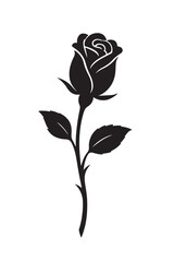 Black rose vector illustration isolated on white background with detailed petals and elegant floral design