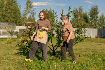 women meet and discuss the apple harvest