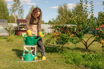 woman fertilizing apple tree