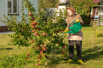 woman fertilizing apple tree