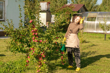 woman fertilizing apple tree
