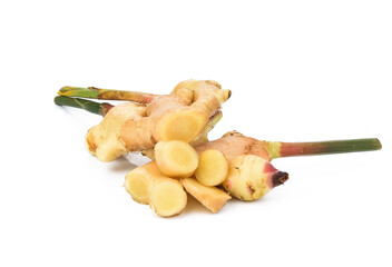 Fresh galangal isolated on transparen png.
