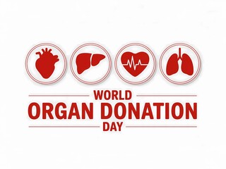 World organ donation day awareness campaign symbol with human organs icons