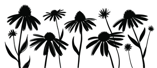A striking black and white illustration of coneflowers in varying sizes and forms © tarek