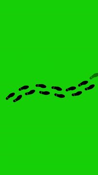 Human Boot Print Walk Animation On Green Screen. 4K Resolution
