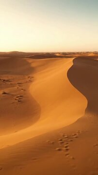 Abstract play of light and shadow on sand An abstract, artistic composition focusing purely on the interplay of gentle side light and shadow across a clean, unblemished expanse of desert sand. The