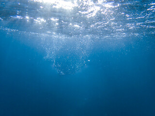 Fototapeta premium bubbles, bubble, water, underwater, background, sea, air, abstract, deep, undersea, under, wave, liquid, clear, clean, ocean, nature, texture, oxygen, blue, white, effect, transparent, foam, aquarium.