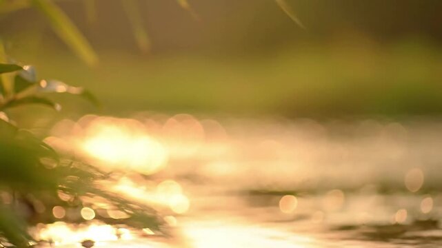 Clean Blurred Backgrounds Showcase the minimalist, uncluttered aesthetic of the out-of-focus environment.