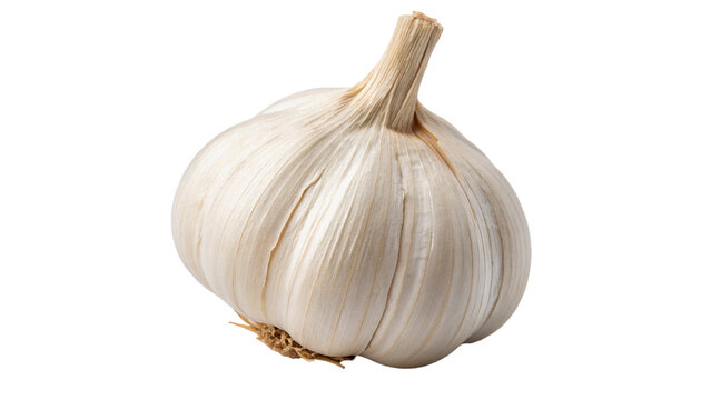 whole garlic bulb isolated on transparent background cut out