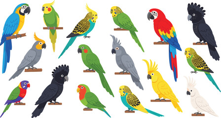 Parrot species vector illustration set featuring macaws cockatoos budgerigars lovebirds and tropical pet birds perched on branches collection © MdAbdul