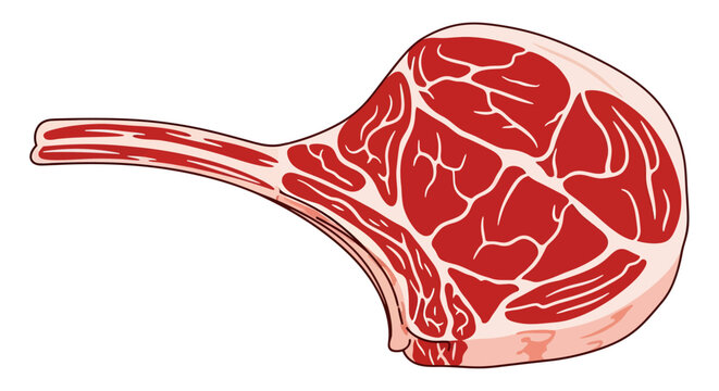 A vibrant vector illustration depicts a raw tomahawk steak, characterized by deep red muscle fibers and intricate white marbling, all anchored to a long, frenched bone handle ready for grilling