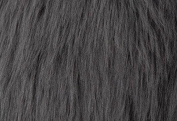 Fototapeta premium Luxurious fluffy dark charcoal grey animal fur material close up creating cozy textile background
