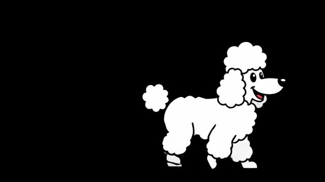 White Cartoon Poodle Dog Walking Animation on Black Background