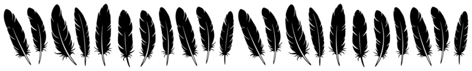 Hand drawn feather border in black ink © Aisha Kudorova
