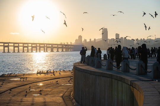 View of Xinghai Bay Bridge from Xinghai Square at Sunset in Dalian, China