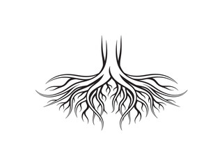 Obraz premium Stylized tree root vector illustration