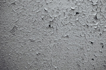 Obraz premium Cracked gray wall paint texture for weathered building and urban background concept