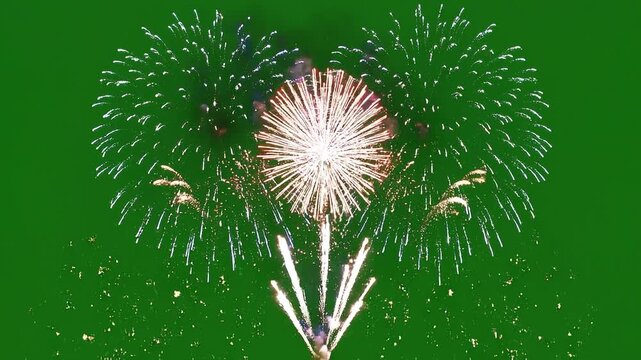 Fireworks display : A captivating display of fireworks ignites the night sky, painting vibrant patterns with bursts of light, perfect for celebrations and moments of joy. 