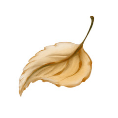 Naklejka premium Autumn yellow leaf. Small round birch leaf. Brown stem. Watercolor illustration isolated from the background. Hand drawn.