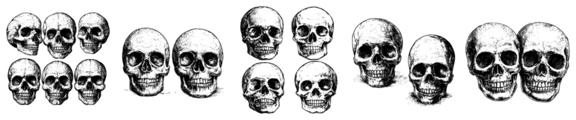 Fototapeta premium Set of human skull sketches in vintage engraving and etching style for gothic design