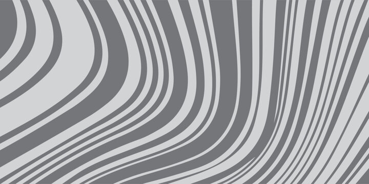 Abstract Gray and White Curved Stripes Pattern Background.