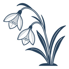 Snowdrops blooming in early spring with elegant dark blue petals
