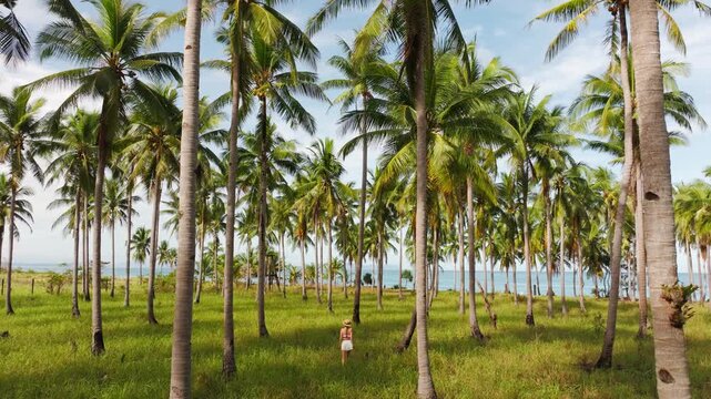 Smooth motion sets adventurous mood as traveler walks from forest to ocean view