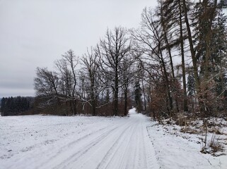 Fototapeta premium Winterspaziergang in der Natur
