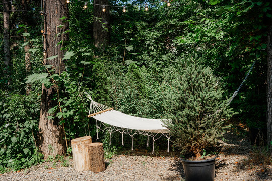 Hammock in shady green forest garden for escape and relaxation