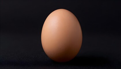 Single brown egg centered on a dark textured background with subtle lighting