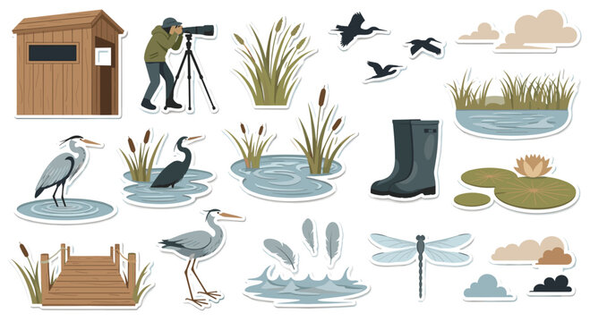 A serene and naturalistic icon set for birdwatching in a wetland or marsh environment, with herons, reeds, and observation gear.