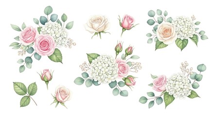 Watercolor pink roses white hydrangeas eucalyptus floral collection on white