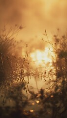 Serene spring pond reflects golden sunlight a peaceful early morning landscape vista