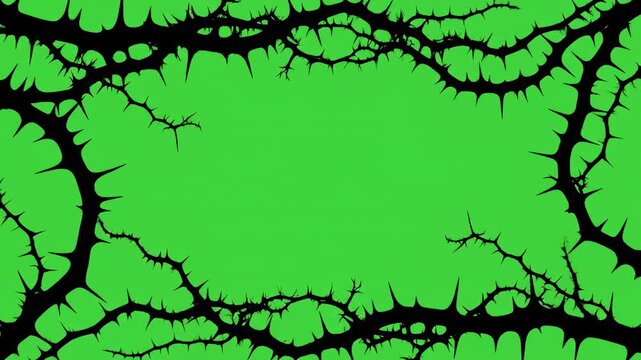 Isolated black thorny branch silhouette element slowly creeping and wrapping around the edges on a bright green screen for easy compositing video, transition, screen