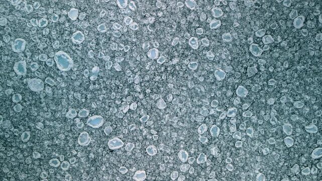 Aerial top-down view of small pancake ice floes floating on the surface of lake Superior at Michigan Upper peninsula