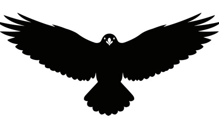 Bird silhouette flying high in the air
