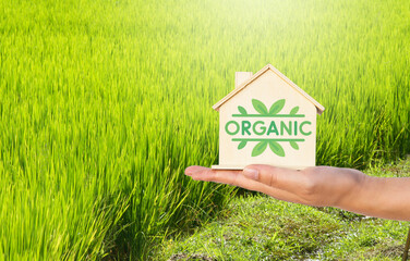 Wooden house model with organic logo on hand over green rice field background, agriculture industry, organic rice, healthy food concept