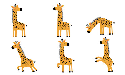 Fototapeta premium A set of giraffes in different poses in a simple, childlike style. A collection of flat vector illustrations. . Vector illustration