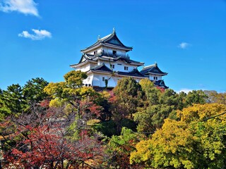 Naklejka premium Wakayama City, Wakayama Prefecture, Japan, Wakayama Castle