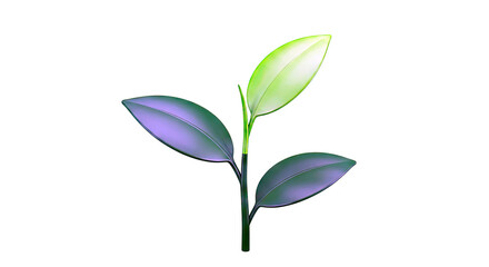 Green seedling with three leaves on white background