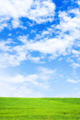 緑の草原と青空