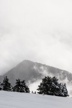 Snow-covered landscape in the Barcelona Pyrenees after a snowfall