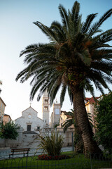 Fototapeta premium Hvar Town Church and Palm Tree