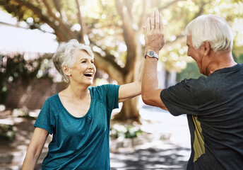 Fototapeta premium Senior couple, fitness and high five at park with support, excited and achievement in summer. Old people, celebration and happy with goals, success and training milestone for wellness in retirement