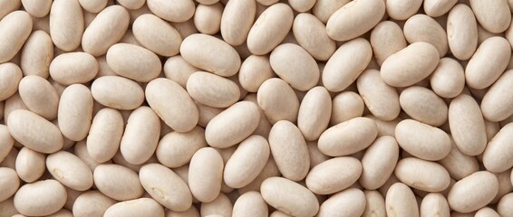 Close-up of dry white beans filling the frame as a nutritious plant-based protein and clean natural food background.