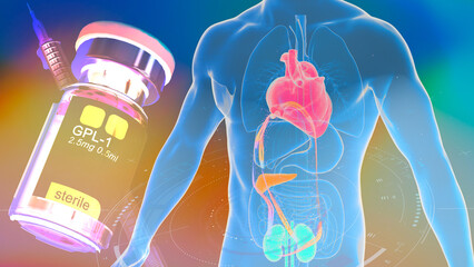Cardiometabolic CKM Syndrome 3D Visualization: Integrated Heart, Kidney, and Pancreatic Health with...